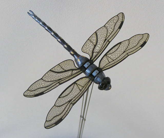 Bliss Kolb’s handcrafted dragonfly automaton, illustrating the mechanical art behind his Singing Bird design
