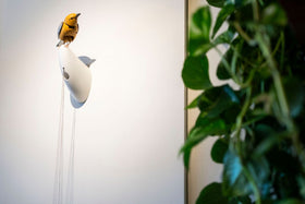 Kelly Clarkson and Art of Play dispute over the $15,000 mechanical bird price tag