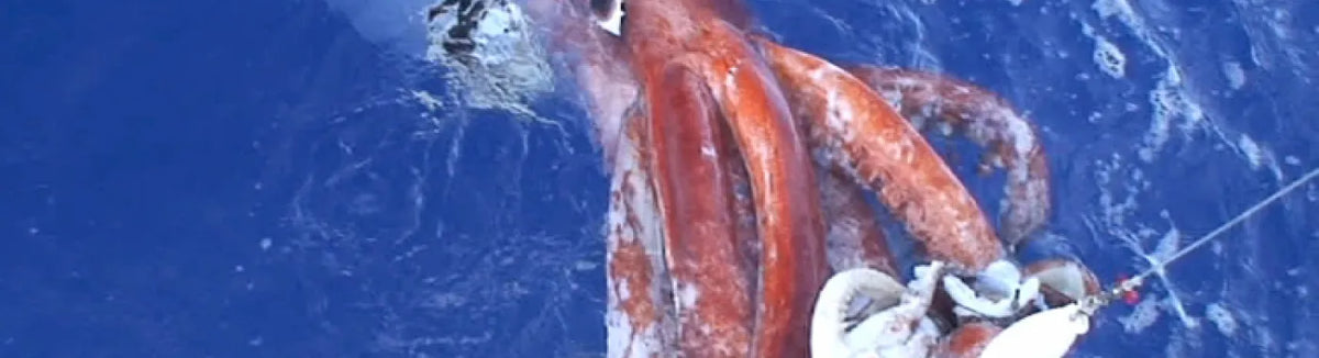 The Science Behind Below’s Iceberg Monster Is Surprisingly Real