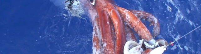 The Science Behind Below’s Iceberg Monster Is Surprisingly Real