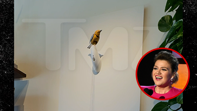 Molly the mechanical singing bird at the center of the Kelly Clarkson and Art of Play dispute