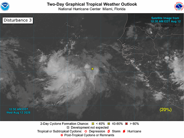 Tropical Storm Safety Guide: What to Do Before a Watch or Warning